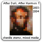 After Dali, After Harmon, by Devorah Sperber, 2003-2004 NYC