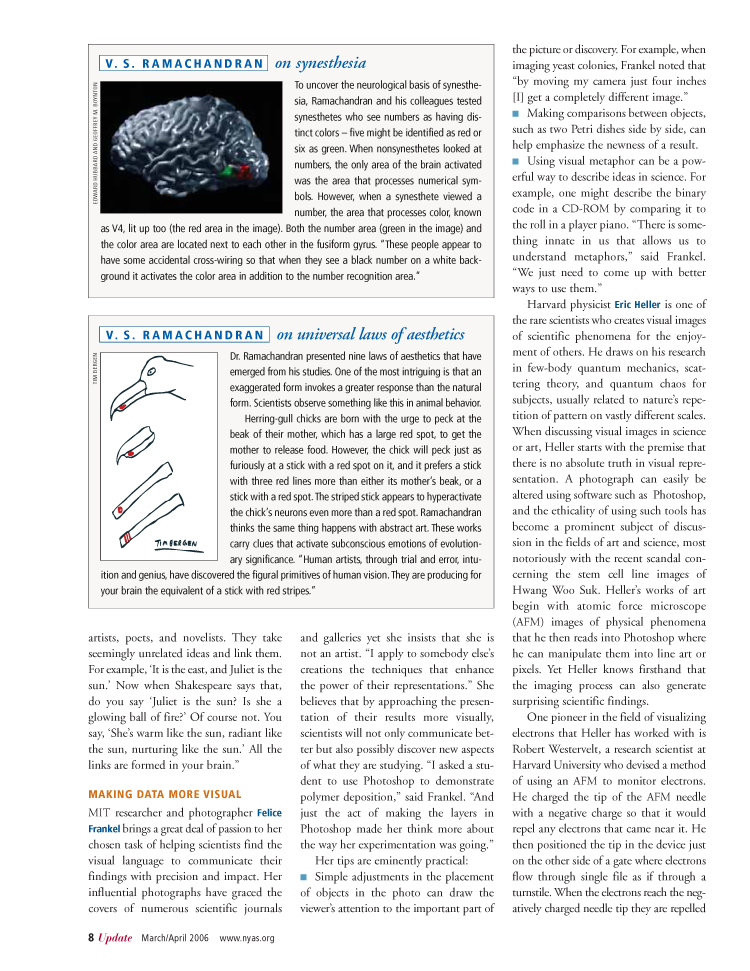 "Probing the Picasso Lobe: Visual Art and the Brain," Featuring Cover Photo of Work by Devorah Sperber and Article,  The New York Academy of Sciences Magazine, March/April 2006